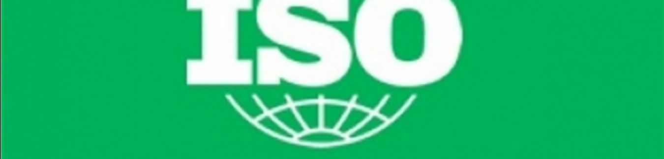 ISO 14001 ve Çevresel Yönetim: Şirketinizi Yeşil Dönüşüme Taşıyın
